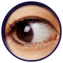 eye.gif (16371 バイト)